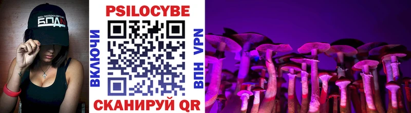 Галлюциногенные грибы Psilocybine cubensis  купить  цена  Усть-Катав 